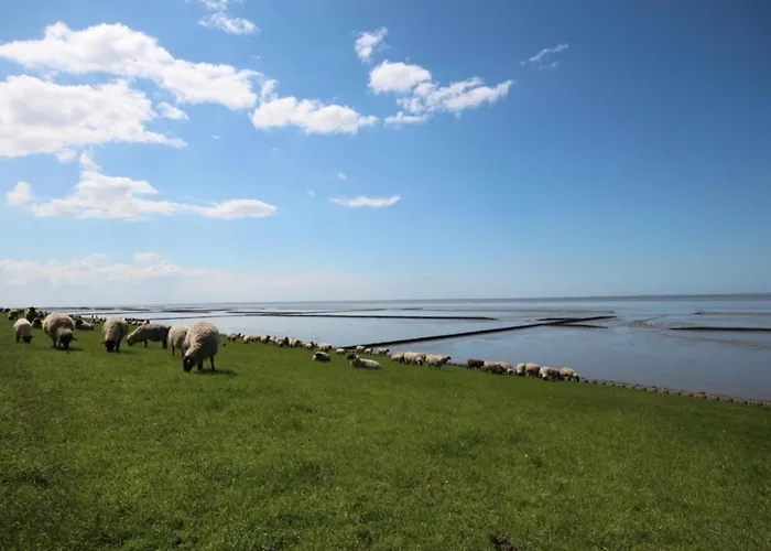 Bis 5 Personen Ohne Hund Feriehus *